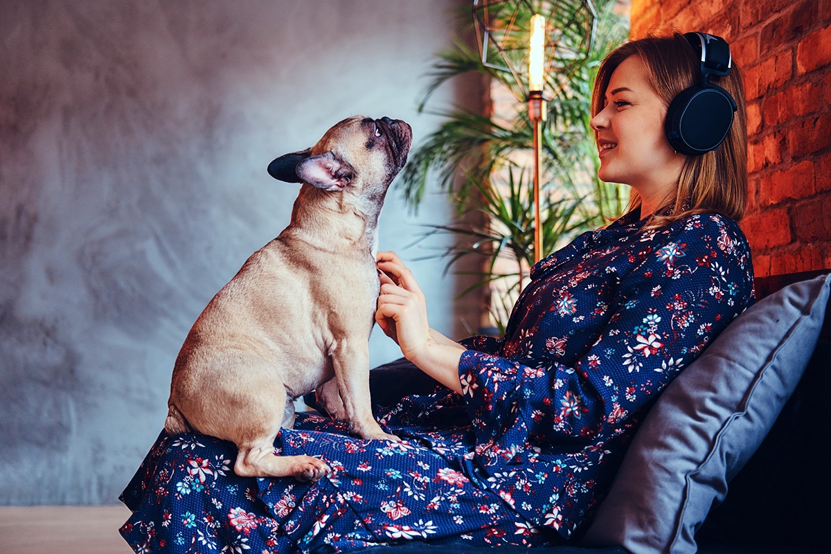 5 reasons why having a companion animal can greatly improve your quality of life